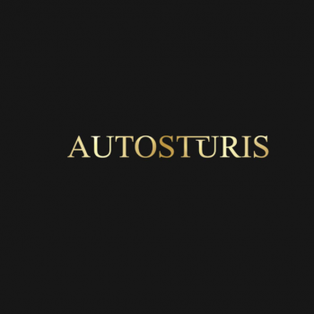 Dīlera auto servisa kvalitāte Alūksnes novadā